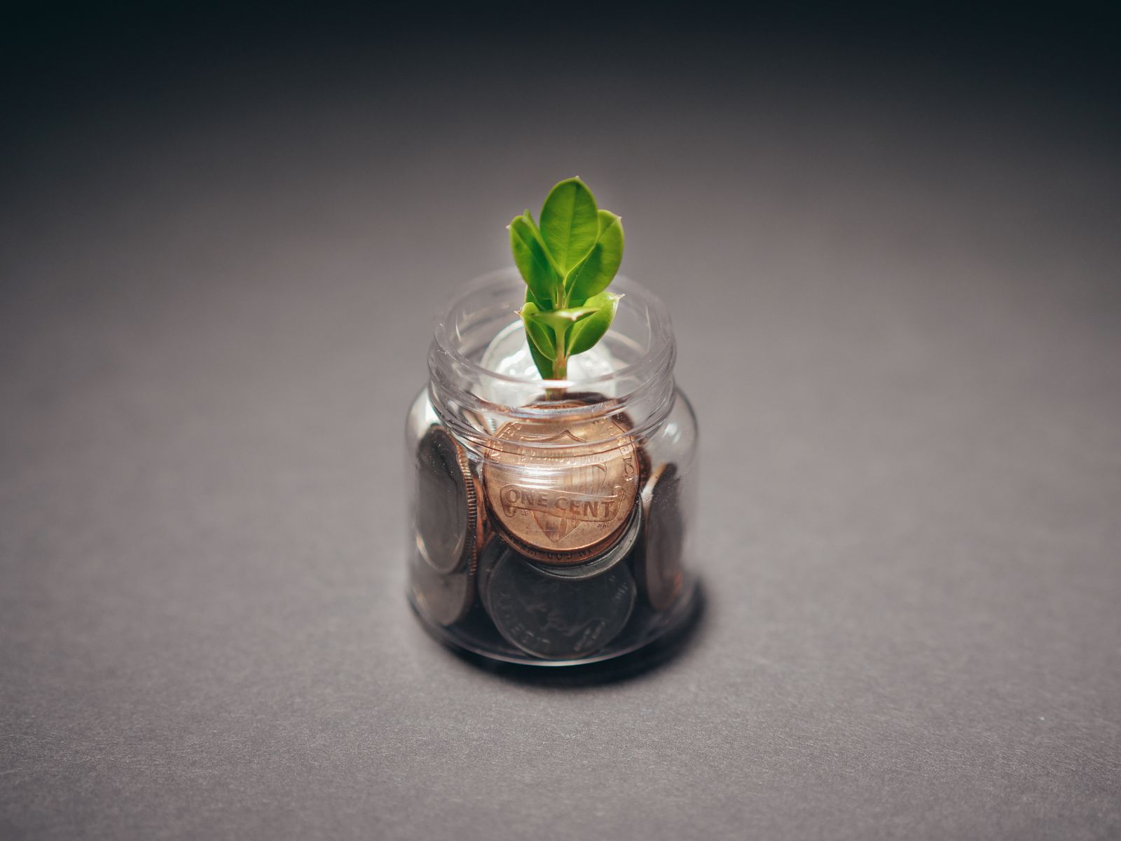 A small green seedling sprouting from a glass jar filled with coins