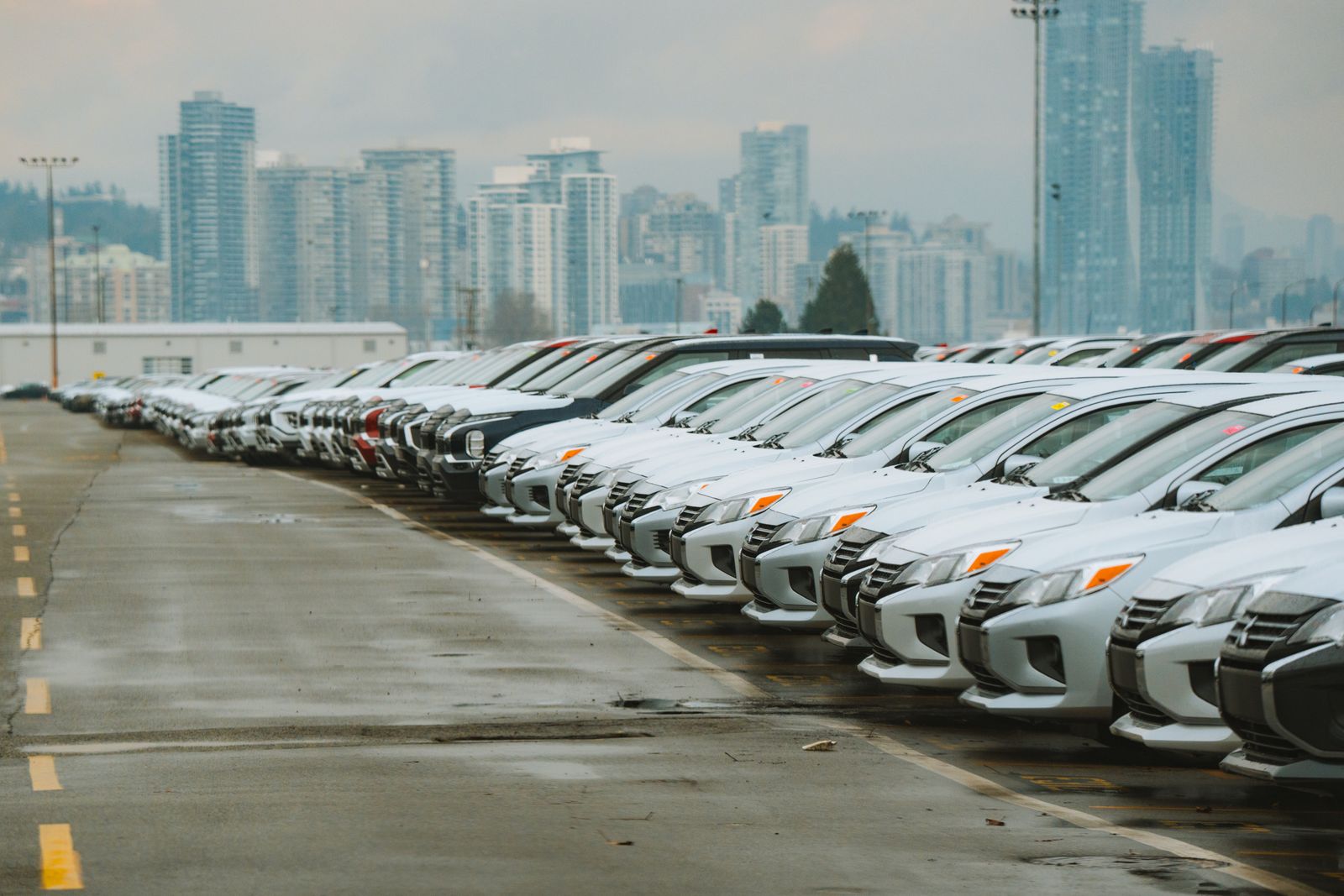 Rows of white cars lined up in a parking lot with a city skyline in the background
